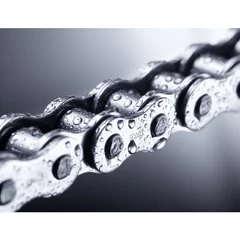 IWIS roller chain simplex Type 16 B-1 MEGAlife I (1 inch x 17 mm)